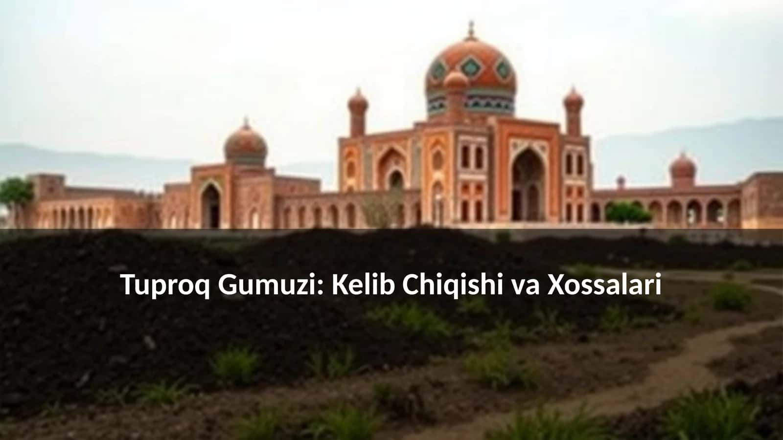 Tuproq Gumuzi: Kelib Chiqishi va Xossalari 1