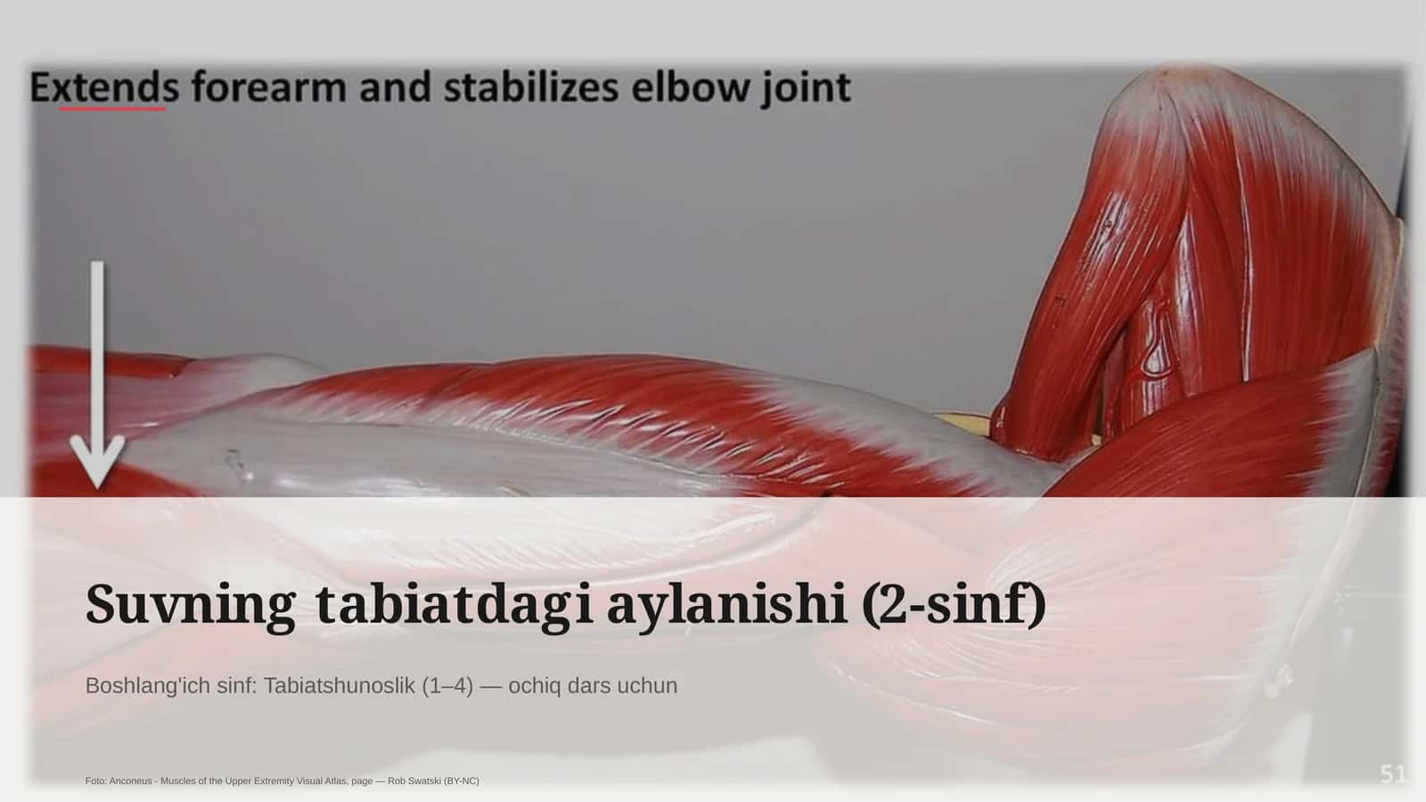 Suvning tabiatdagi aylanishi (2-sinf) 1
