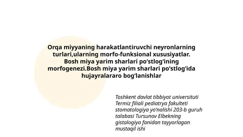 Bosh miya yarim sharlari poʻstlogʻining morfogenezi 1