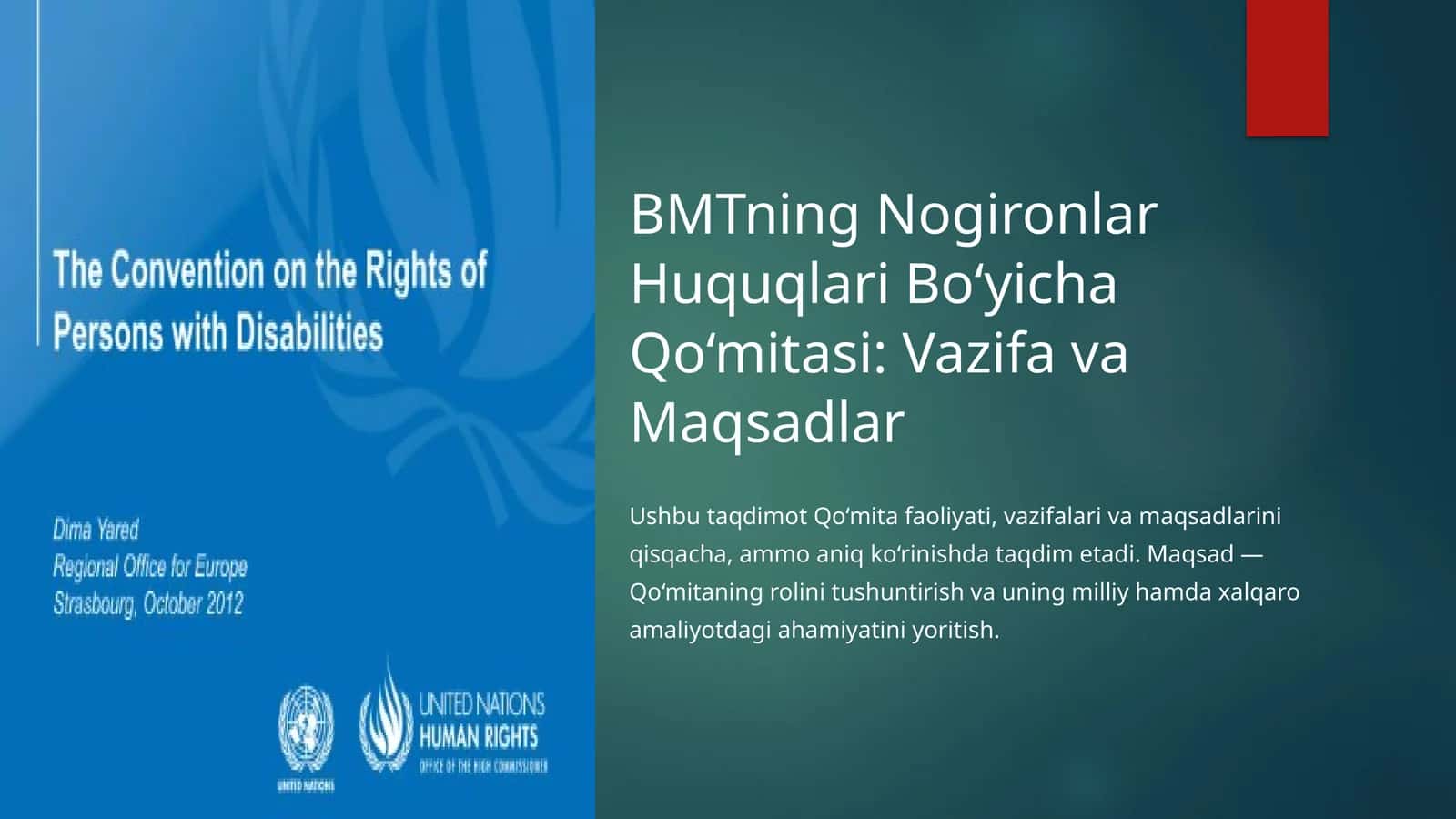 BMTning Nogironlar Huquqlari Bo‘yicha Qo‘mitasi: Vazifa va Maqsadlar 1