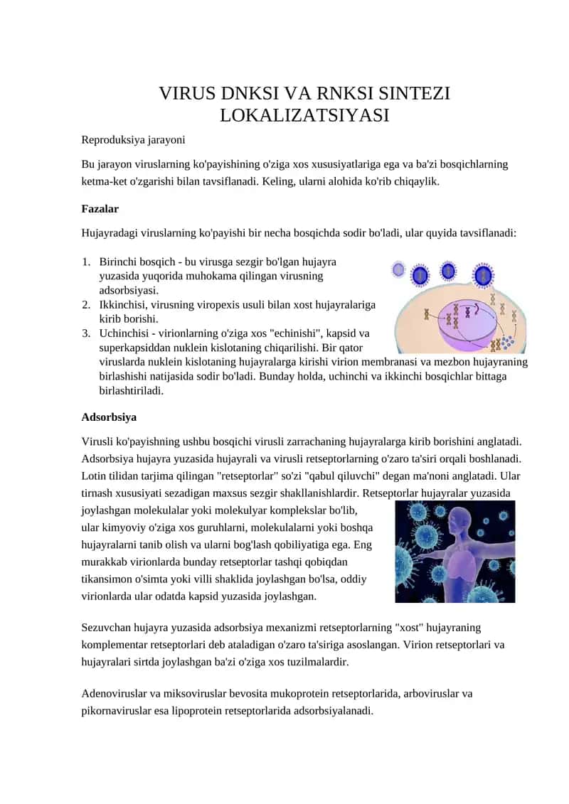 VIRUS DNKSI VA RNKSI SINTEZI LOKALIZATSIYASI
Reproduksiya jarayoni 1