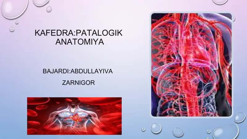 Limfa sistemasi va venoz yitishmovchilik patologiyasi 1
