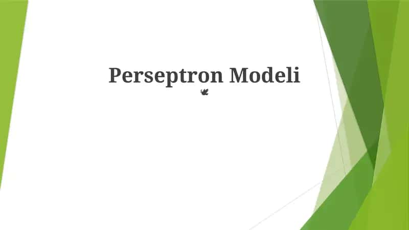Perseptron Modeli 1
