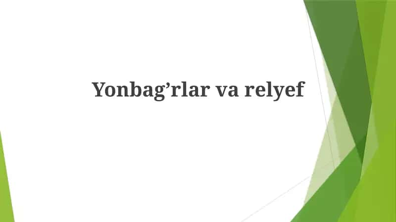 Yonbagʼrlarvarelyef 1