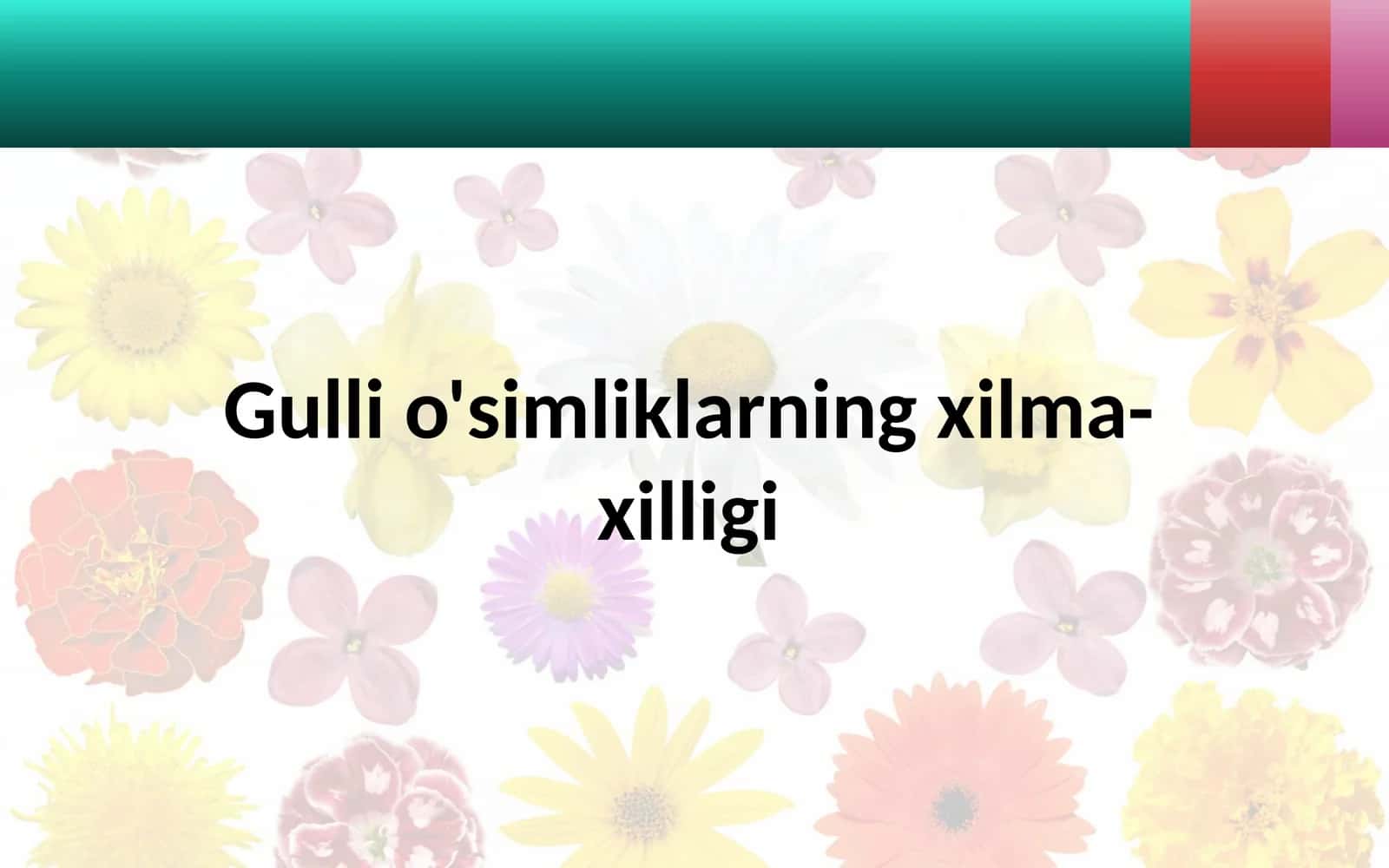 Gulli o'simliklarning xilma-xilligi 1