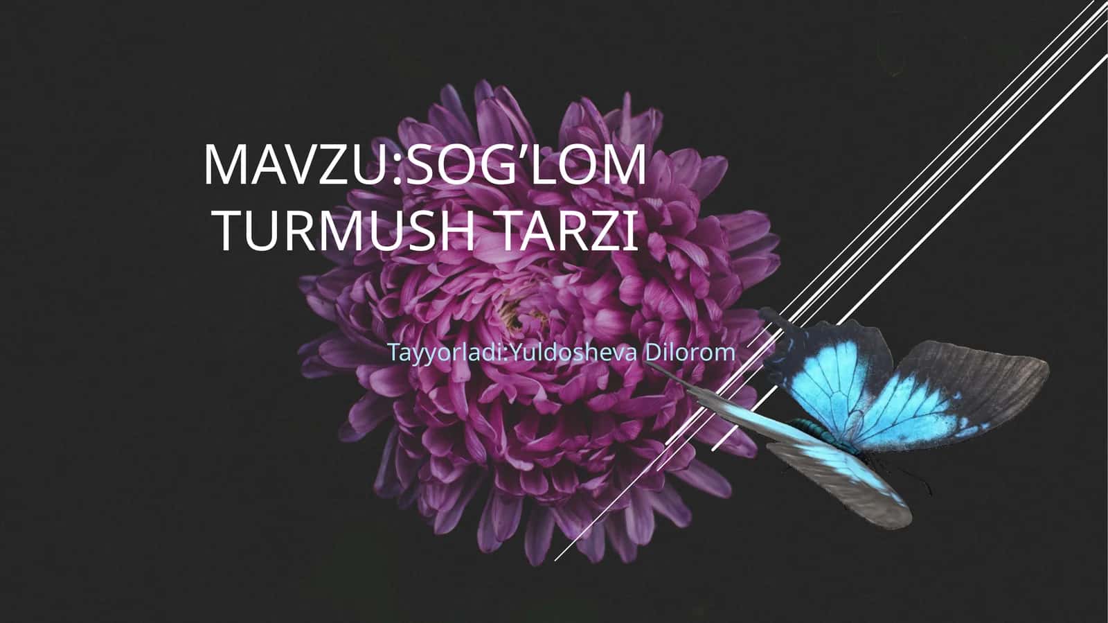 sog’lomturmushtarzi 1