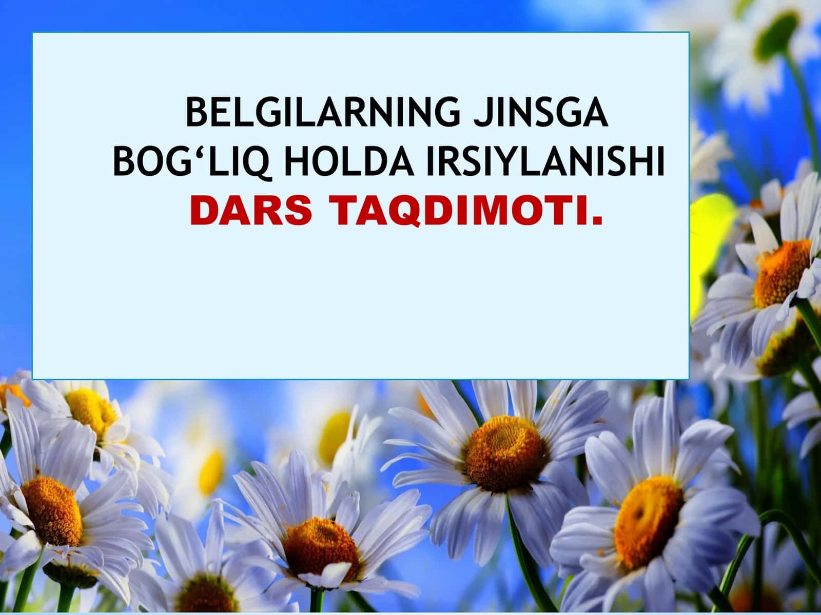 JINSGA BOG‘LIQ HOLDA IRSIYLANISHIDARS TAQDIMOTI 1