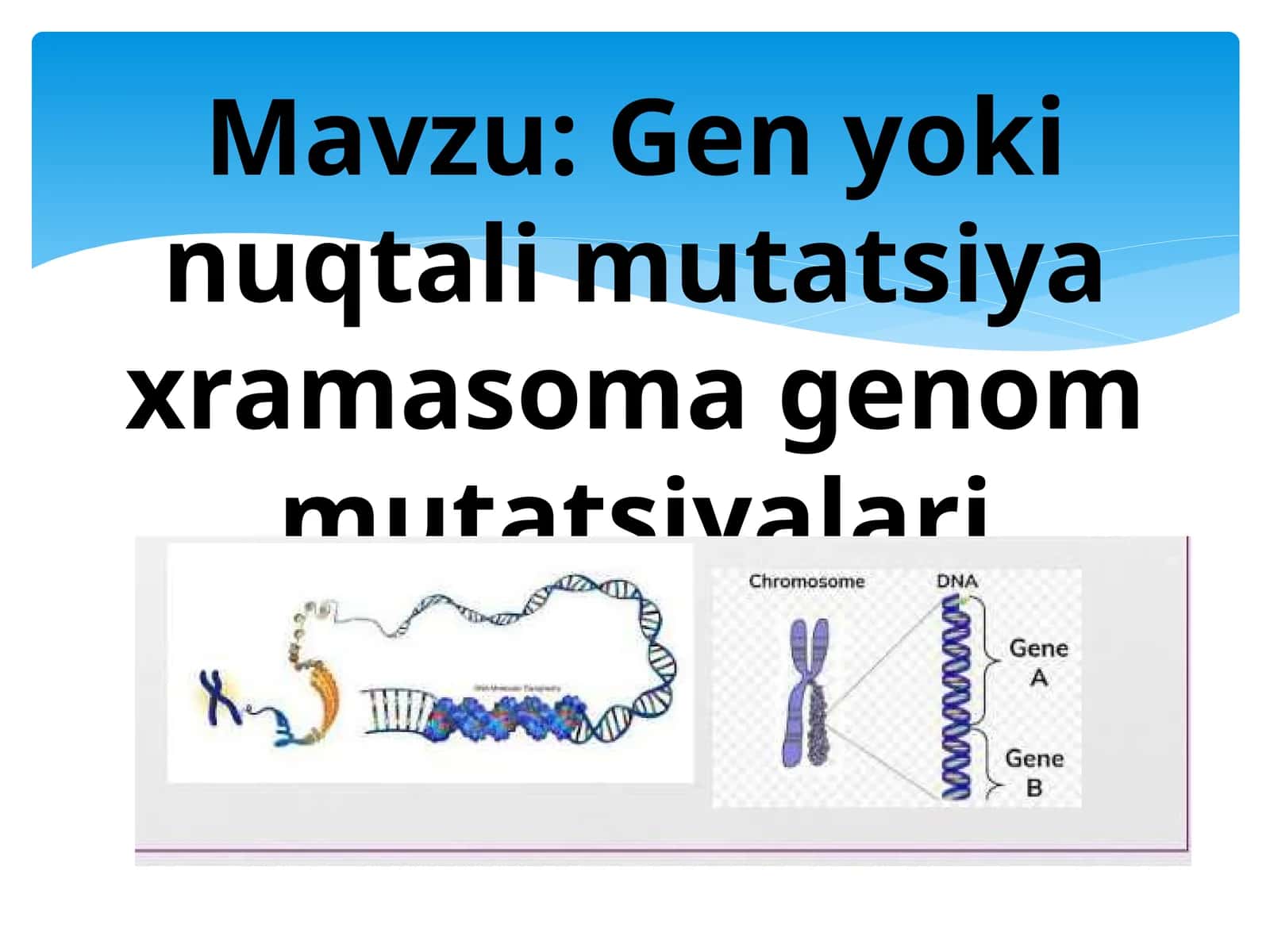 Gen yoki nuqtali mutatsiya xramasoma genom mutatsiyalari 1