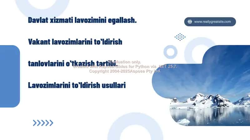Davlat xizmati lavozimini egallash 1