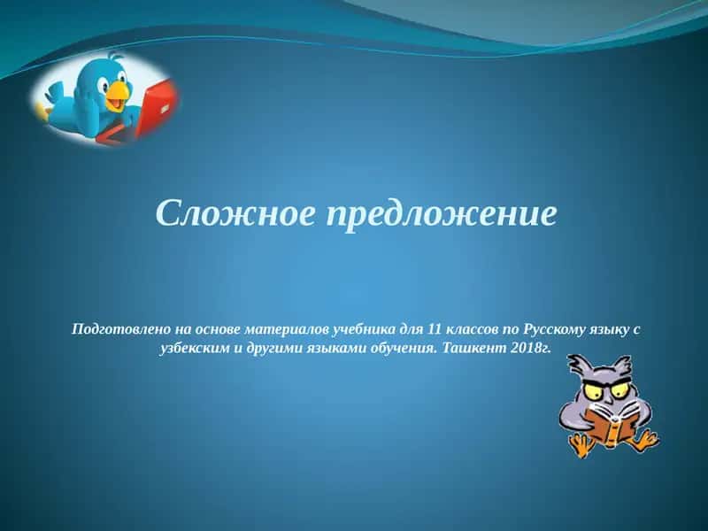 Учебник для 11 классов по Русскому языку 1