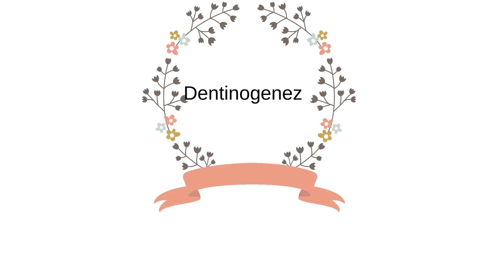 Dentinogenez 1