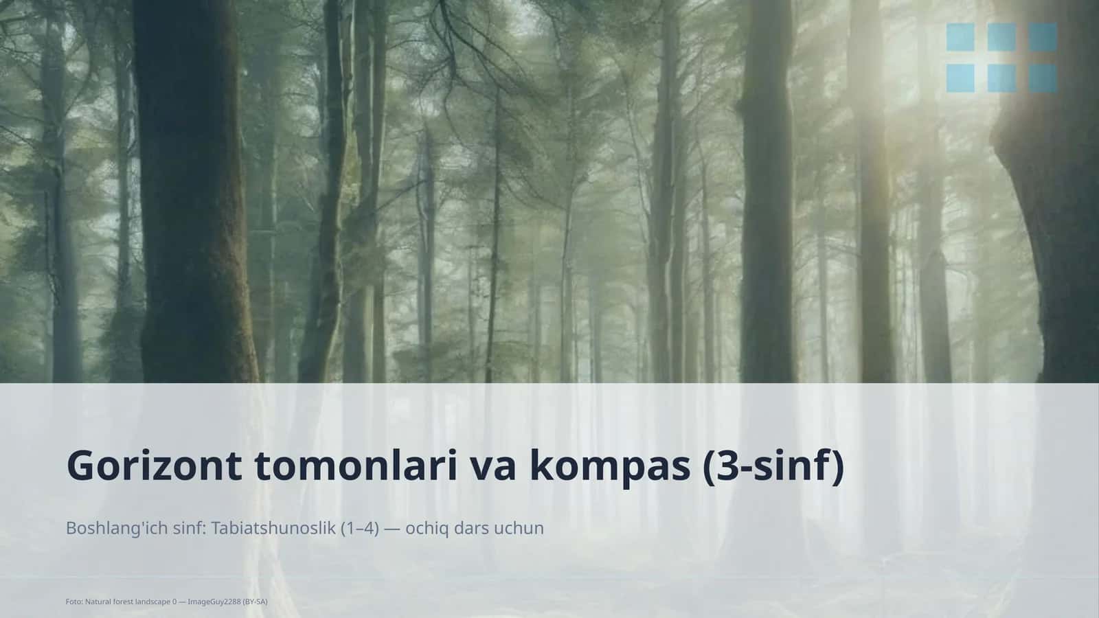 Gorizont tomonlari va kompas (3-sinf) 1