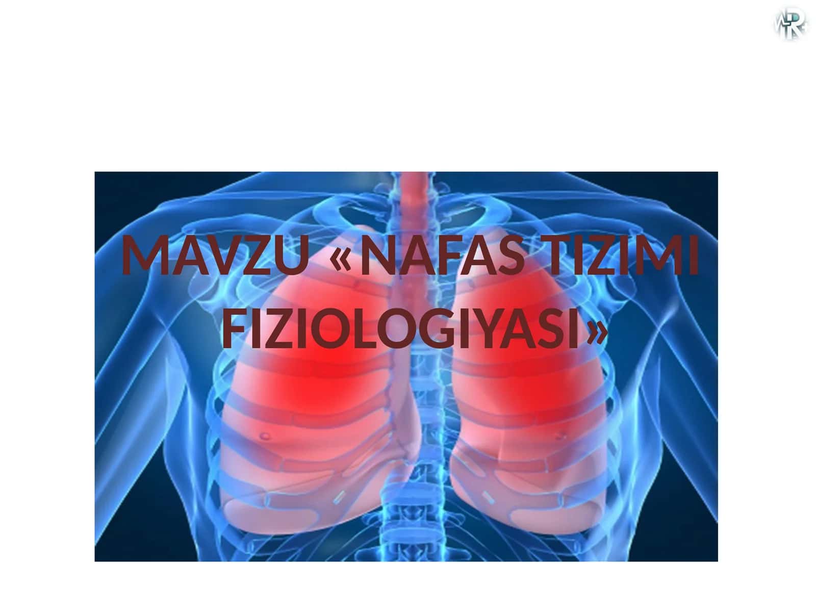 Nafas tizimi fiziologiyasi 1
