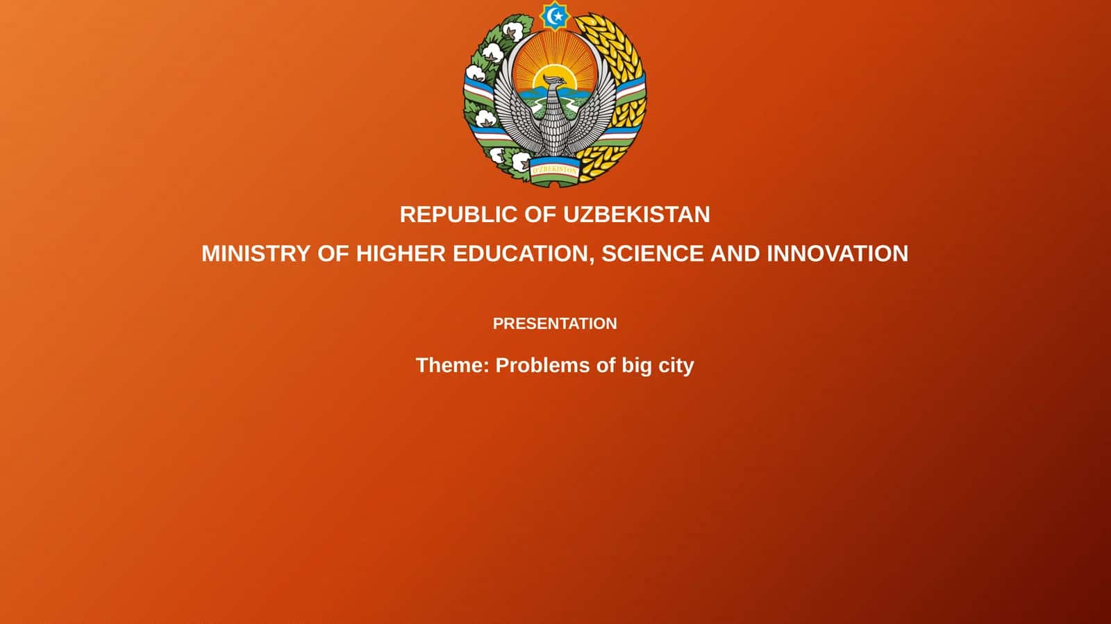 Problems of big city 1
