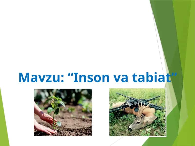 Insonvatabiat 1
