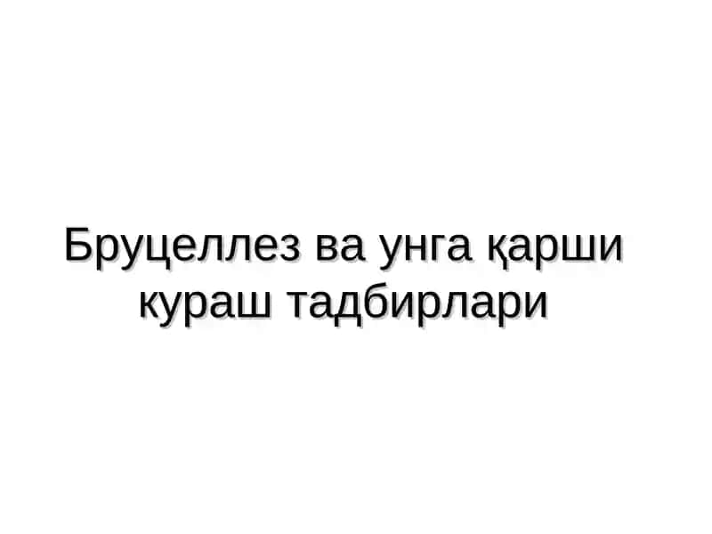 Бруцеллез ва унгақарши кураш тадбирлари 1
