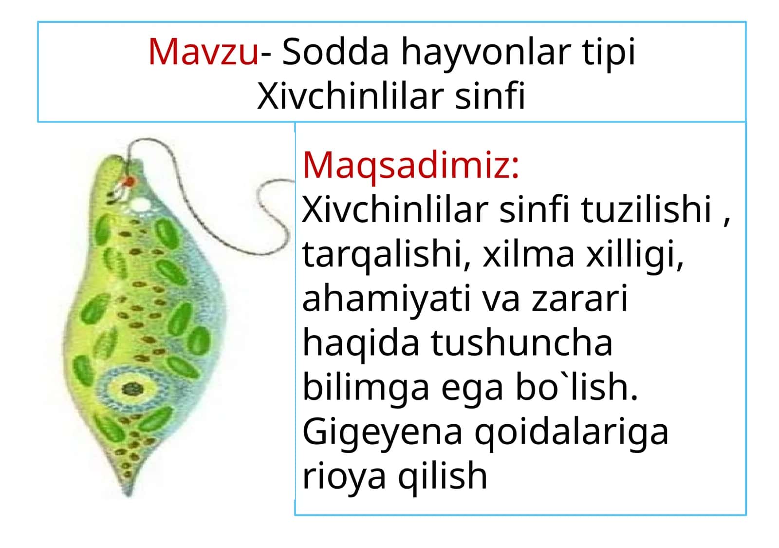Soddahayvonlar tipi 1