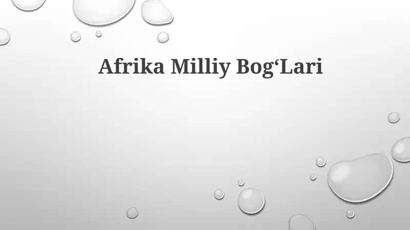 Afrika MilliyBog‘Lari 1