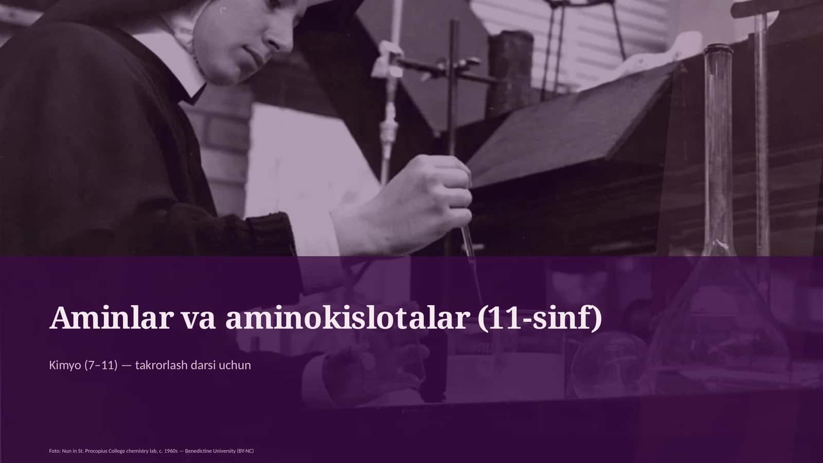 Aminlar va aminokislotalar (11-sinf) 1