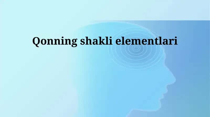Qonning shakli elementlari 1