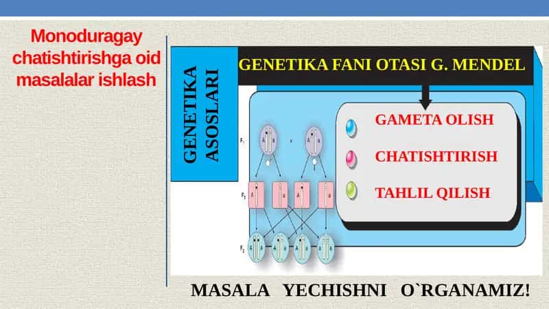 Monoduragay chatishtirishga oid masalalar ishlash 1