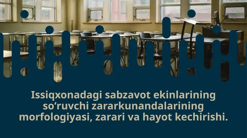Issiqxonadagi sabzavot ekinlarining so‘ruvchi zararkunandalarining morfologiyasi 1
