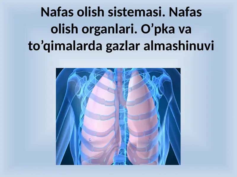 Nafasolish 1