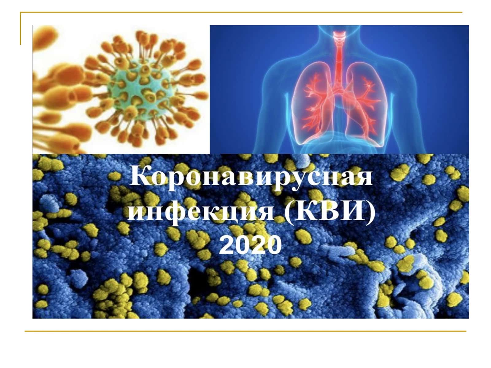 Koronavirus 1