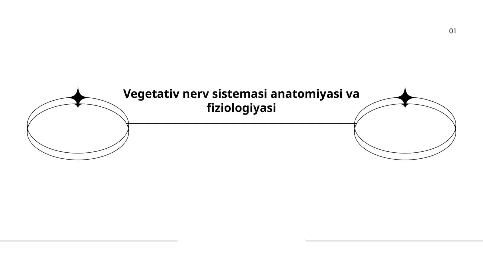 Vegetativ nerv sistemasi anatomiyasi va fiziologiyasi 1