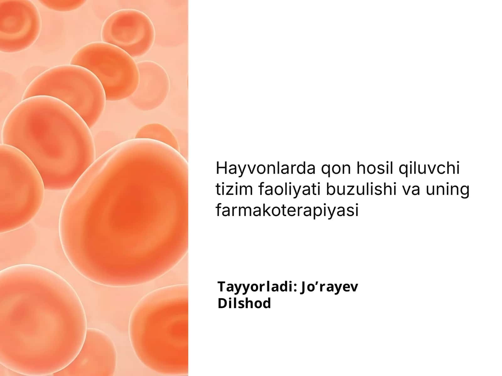 Hayvonlarda qon hosil qiluvchi tizim faoliyati buzulishi va uning farmakoterapiyasi 1
