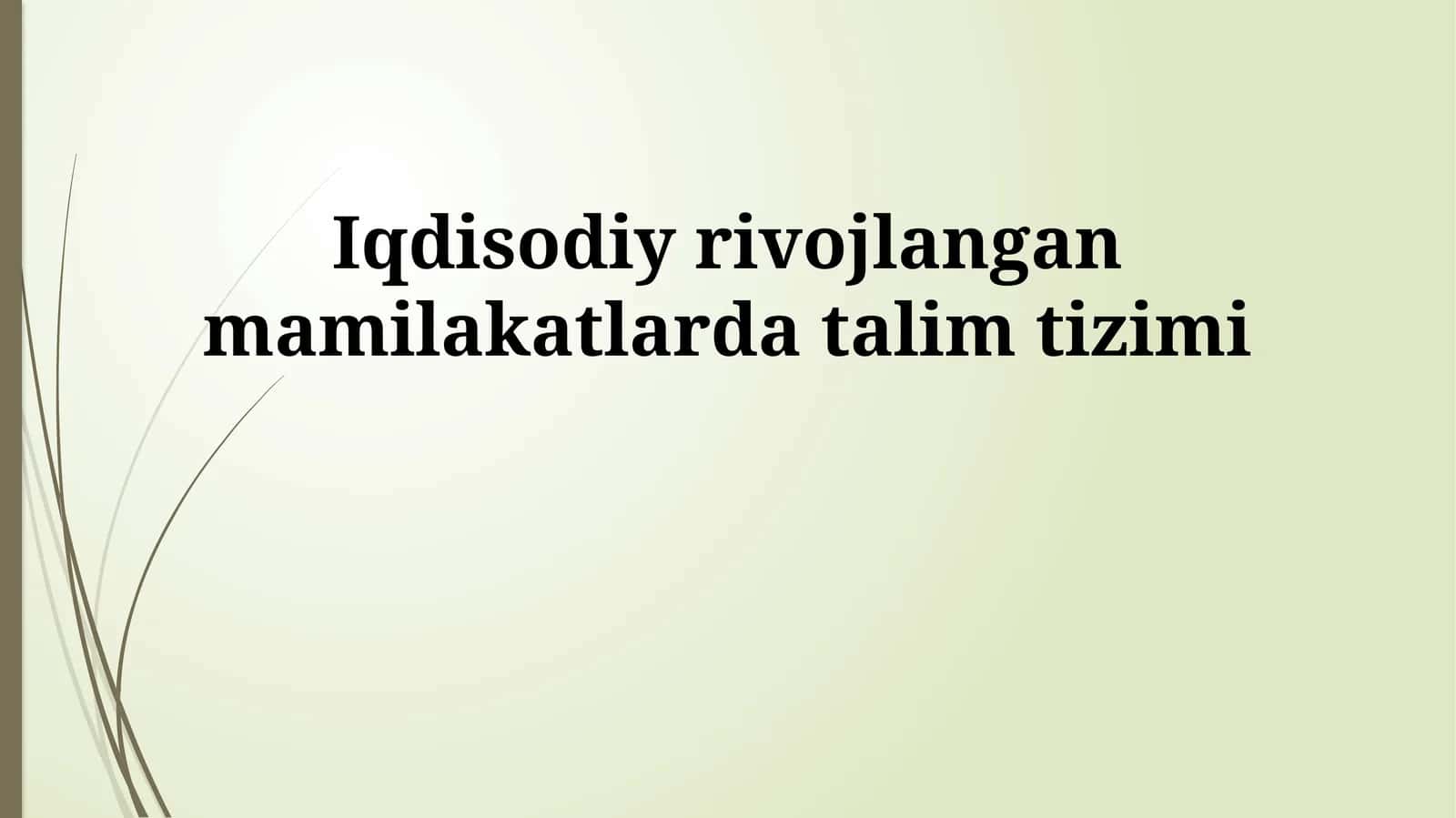 Iqdisodiy rivojlangan mamilakatlarda talim tizimi 1