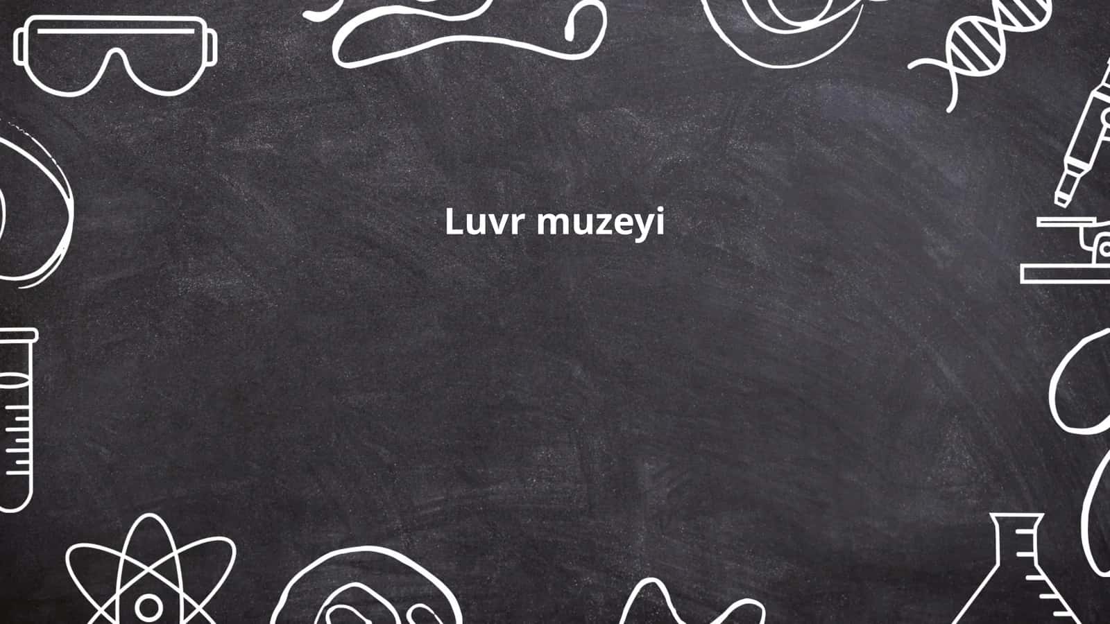 Luvr muzeyi 1