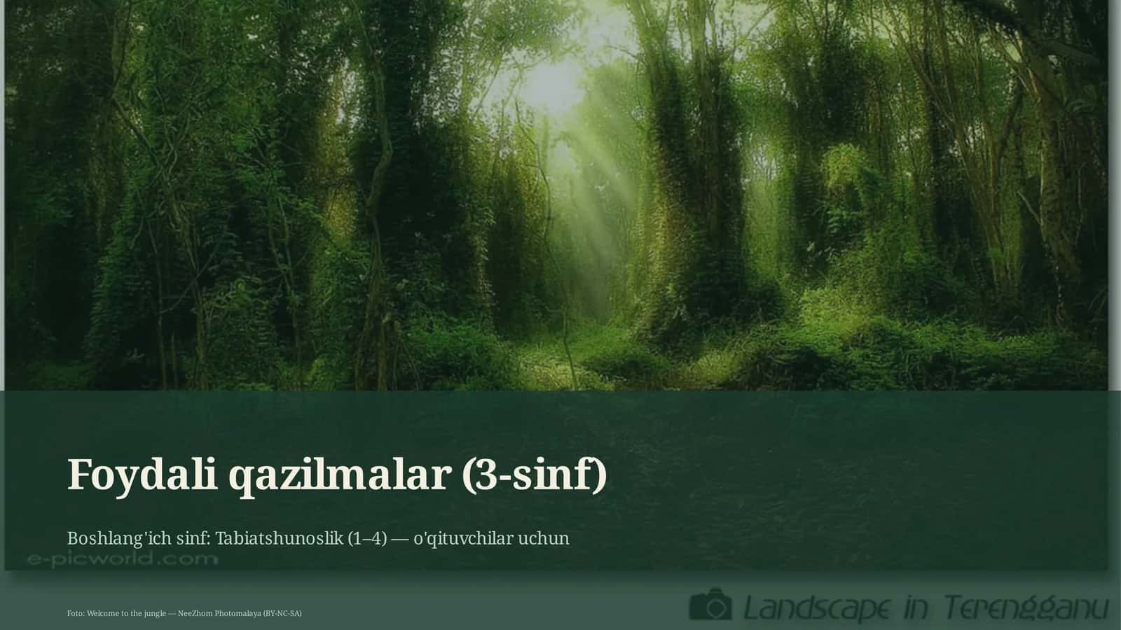 Foydali qazilmalar (3-sinf) 1