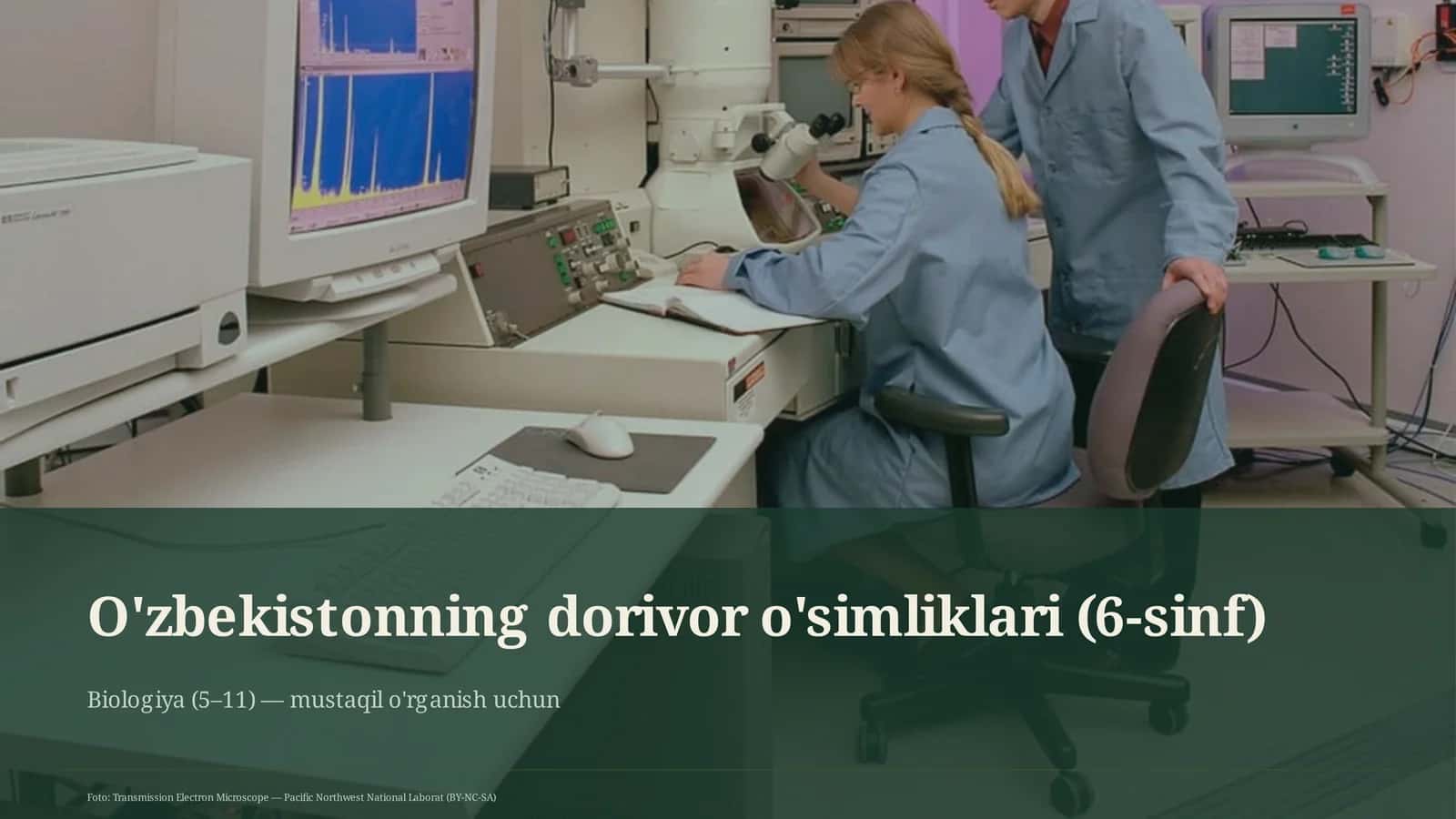 O'zbekistonning dorivor o'simliklari (6-sinf) 1