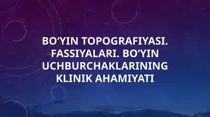 bo'yin topografiyasi