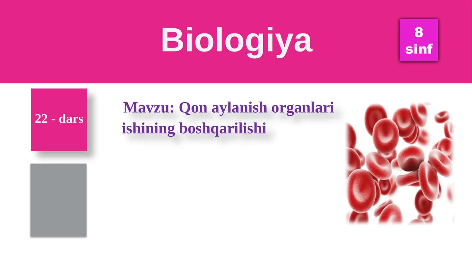 Qonaylanish organlari ishining boshqarilishi 1