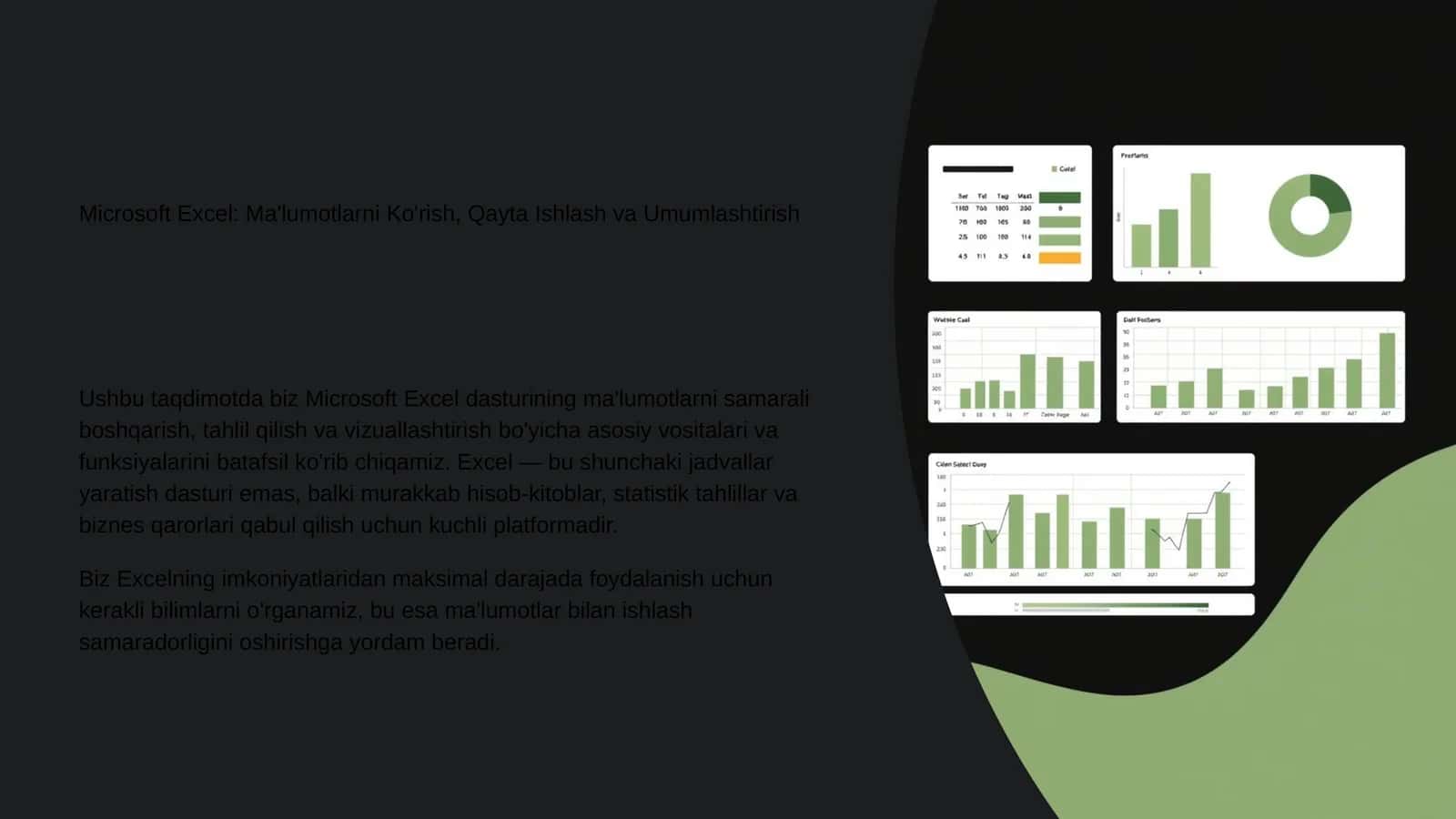 Microsoft Excel 1