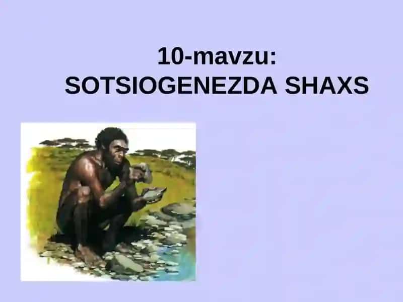 SOTSIOGENEZDA SHAXS 1