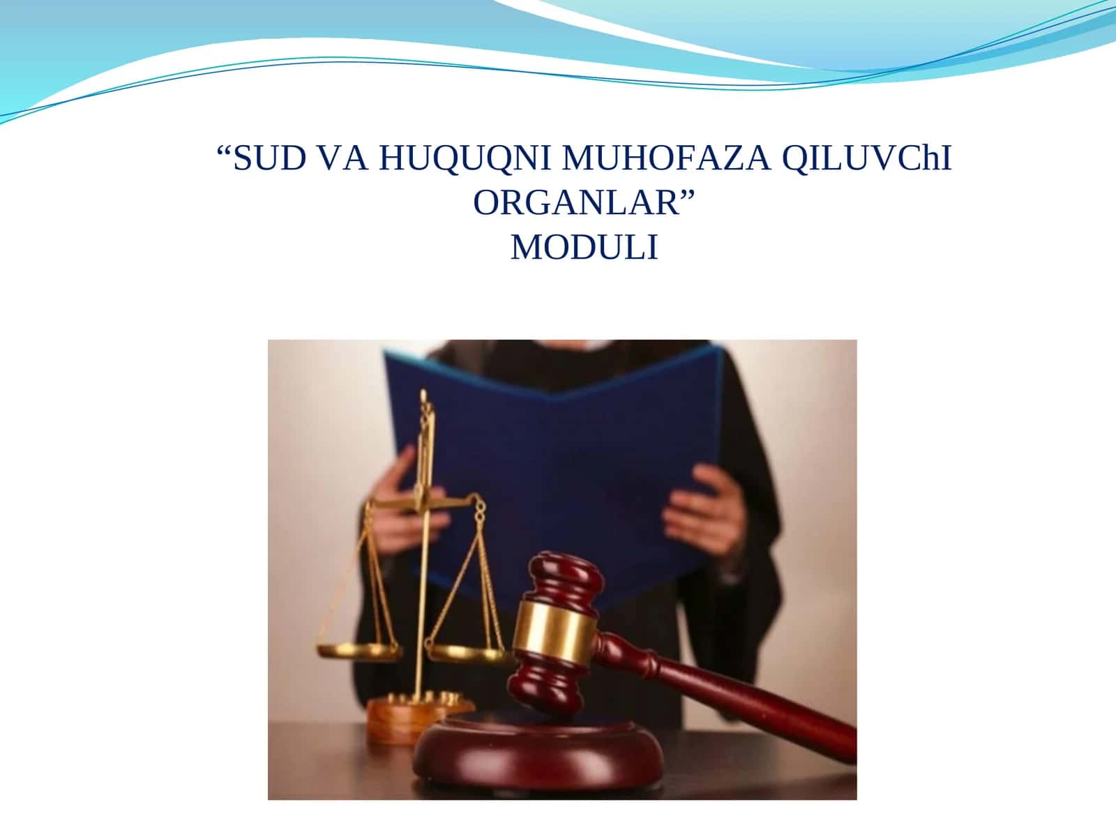 SUD VАHUQUQNI MUHOFАZАQILUVChIORGАNLАR 1