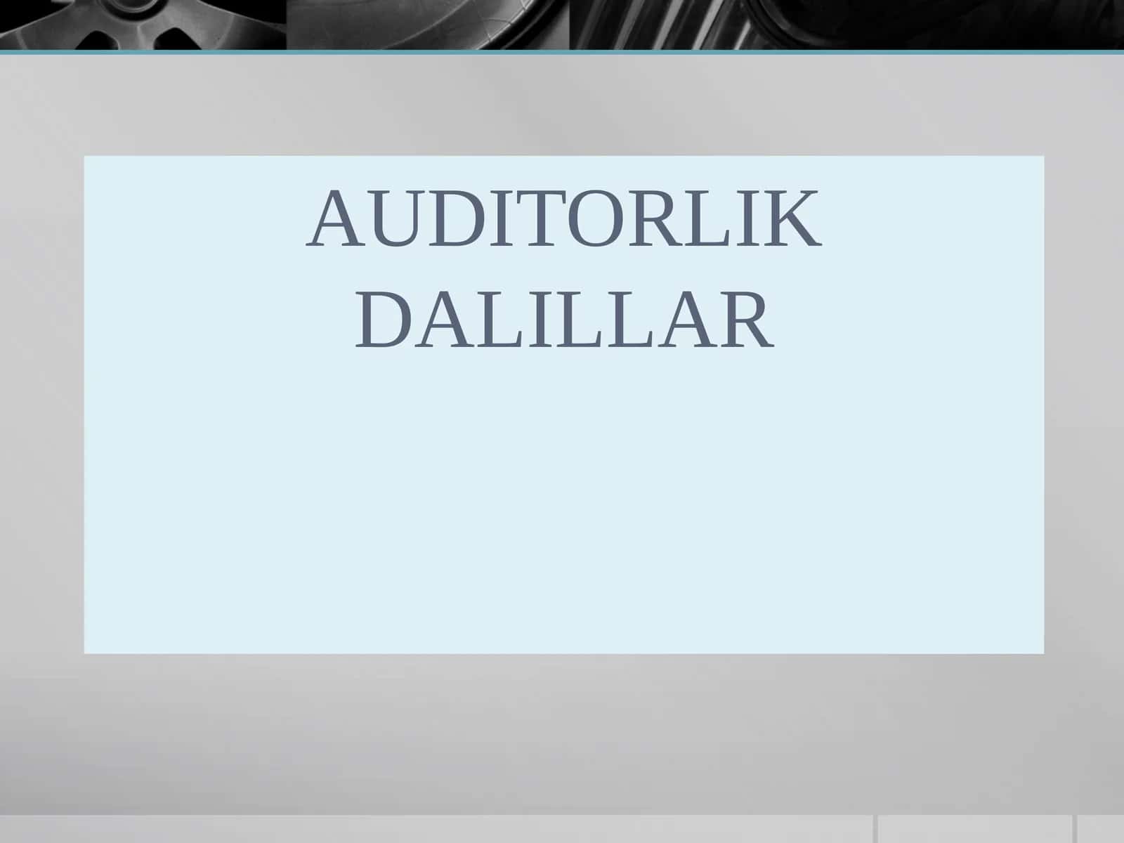 AUDITORLIK DALILLAR 1