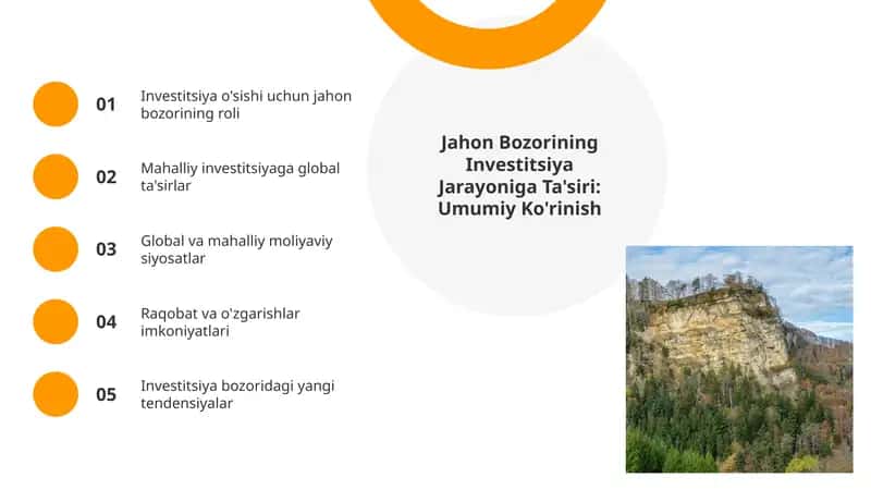 Jahon Bozorining Investitsiya Jarayoniga Ta'siri: Umumiy Ko'rinish 1