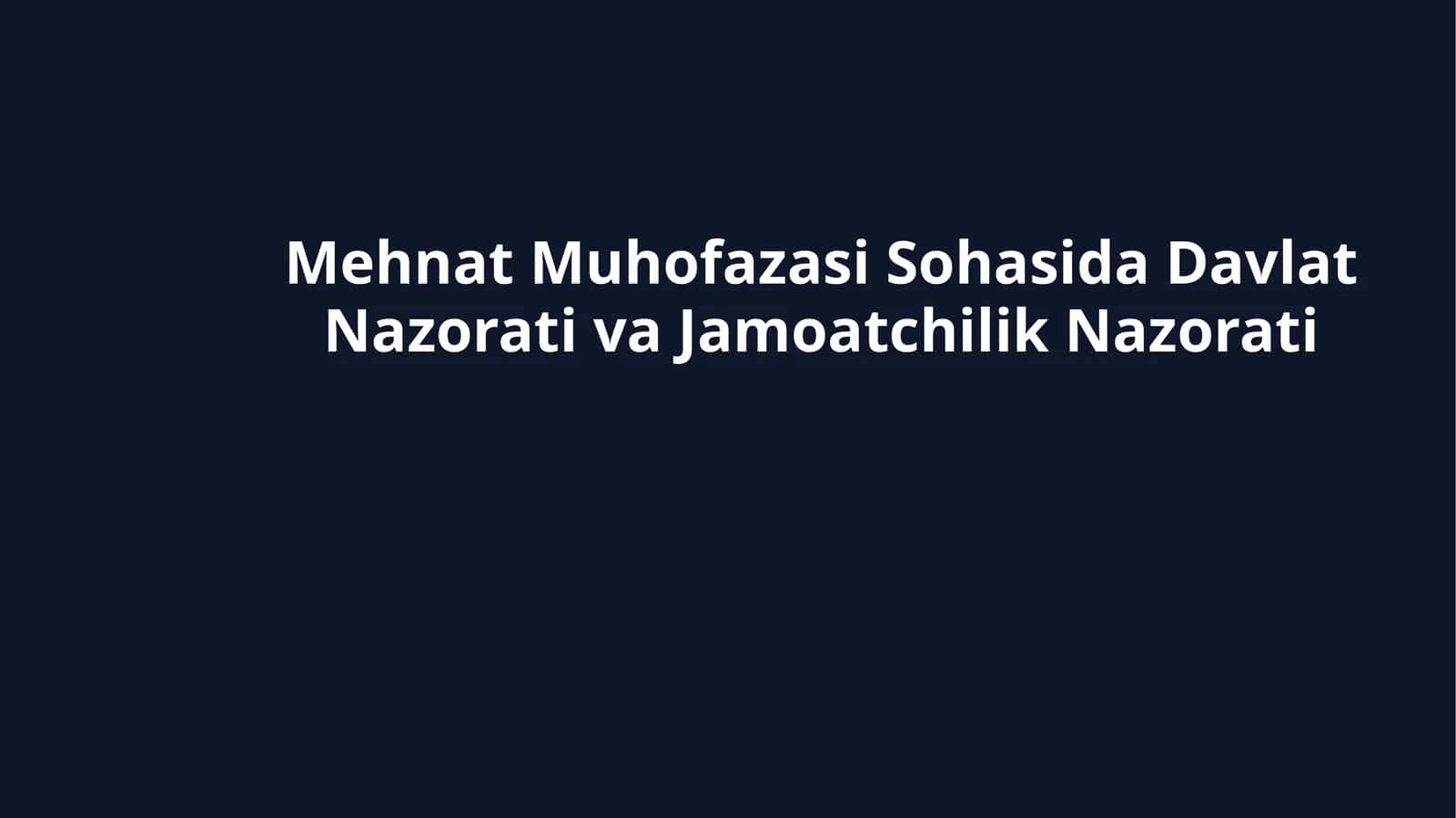 Mehnat Muhofazasi Sohasida Davlat Nazorati va Jamoatchilik Nazorati 1