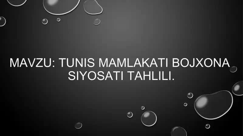 Tunis Mamlakati Bojxonasidagi Iqtisodiyot Tahqiqi 1