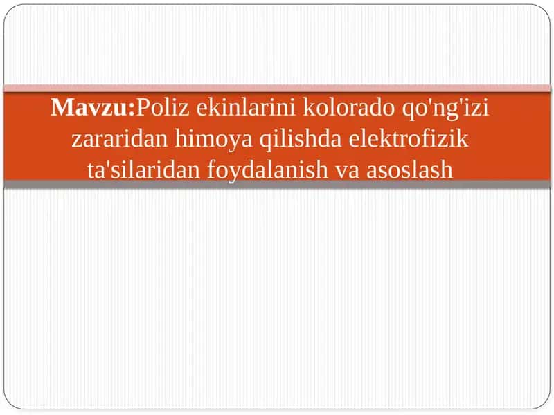Poliz ekinlarini Kolorado qo'ng'izi zararidan himoya qilishda elektrofizik taʼsir 1