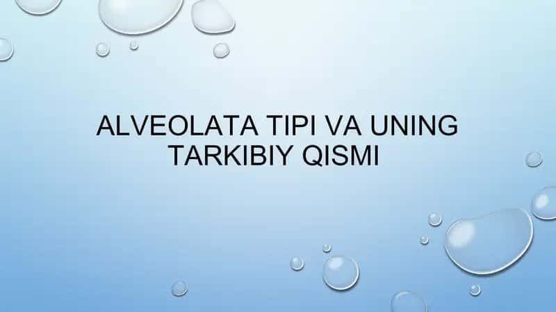 Alveolata tipi va uning tarkibiy qismi 1