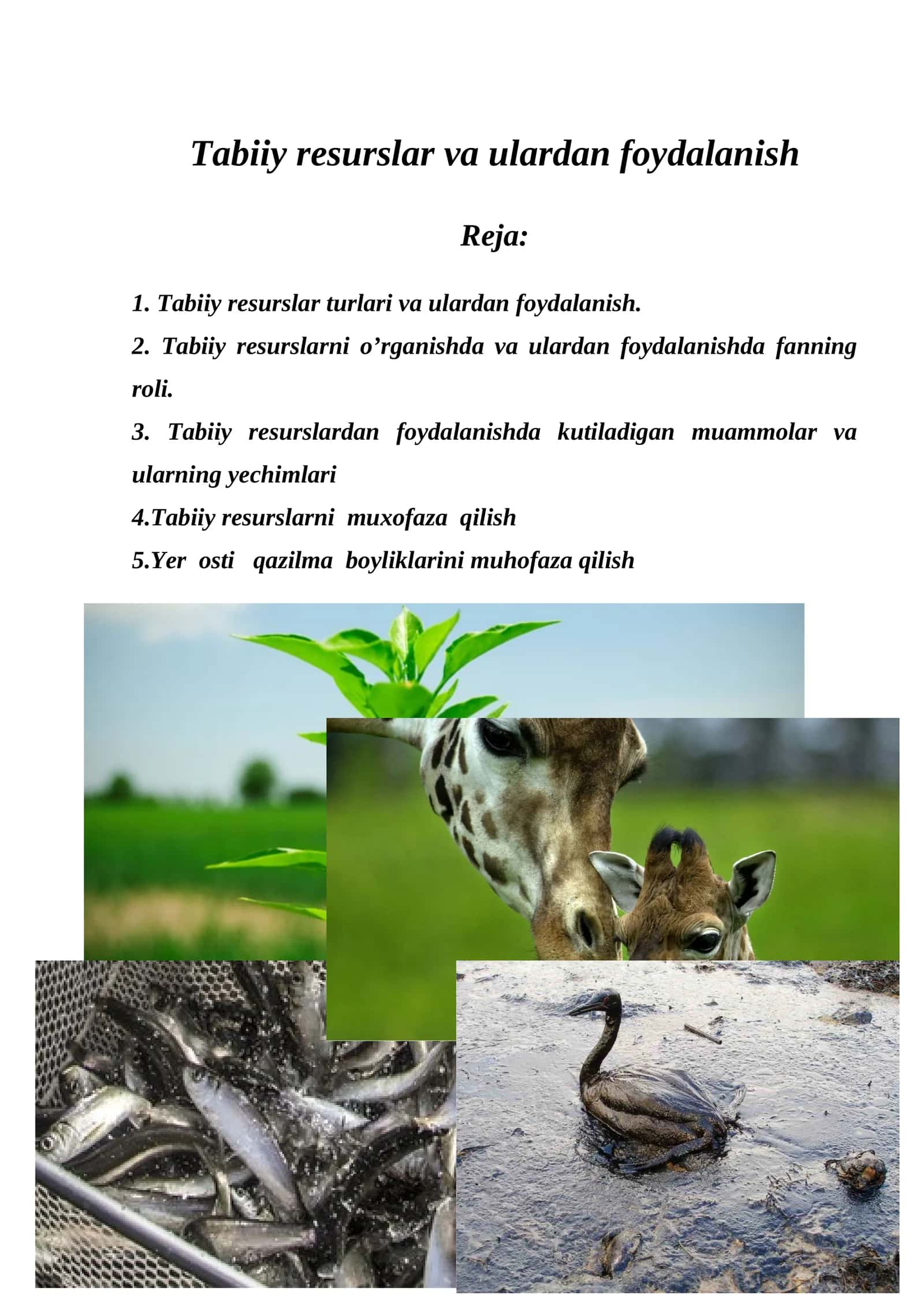 Tabiiy resurslar va ulardan foydalanish 1