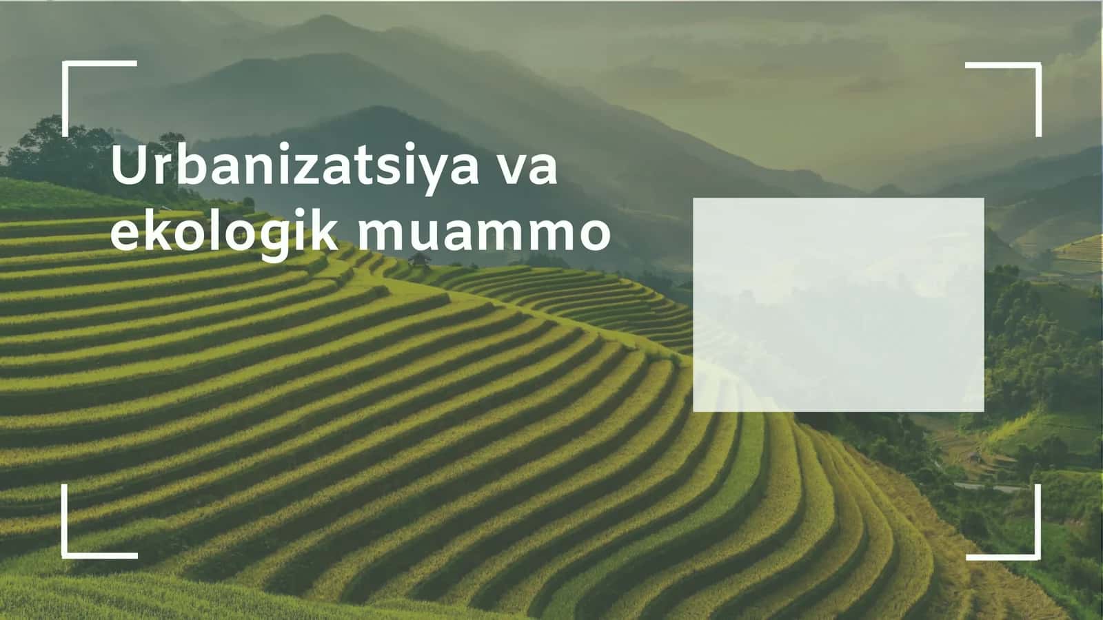 Urbanizatsiya va ekologik muammo 1