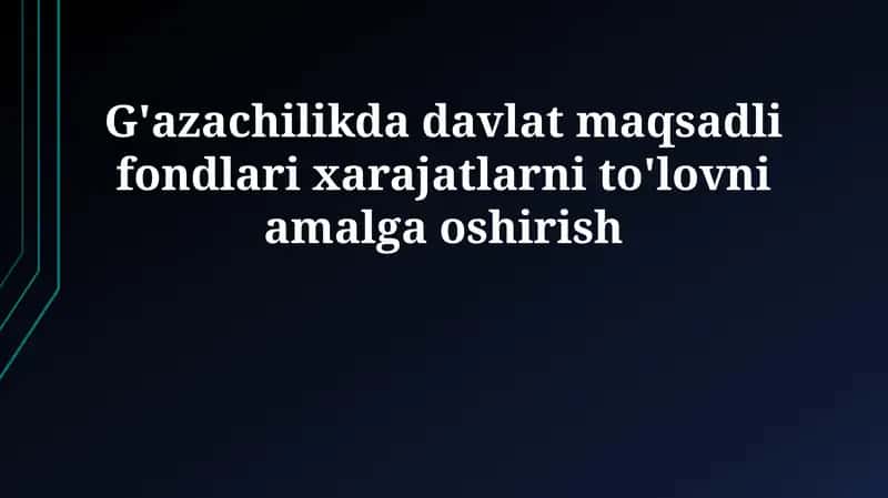 Davlat maqsadli fondlari 1