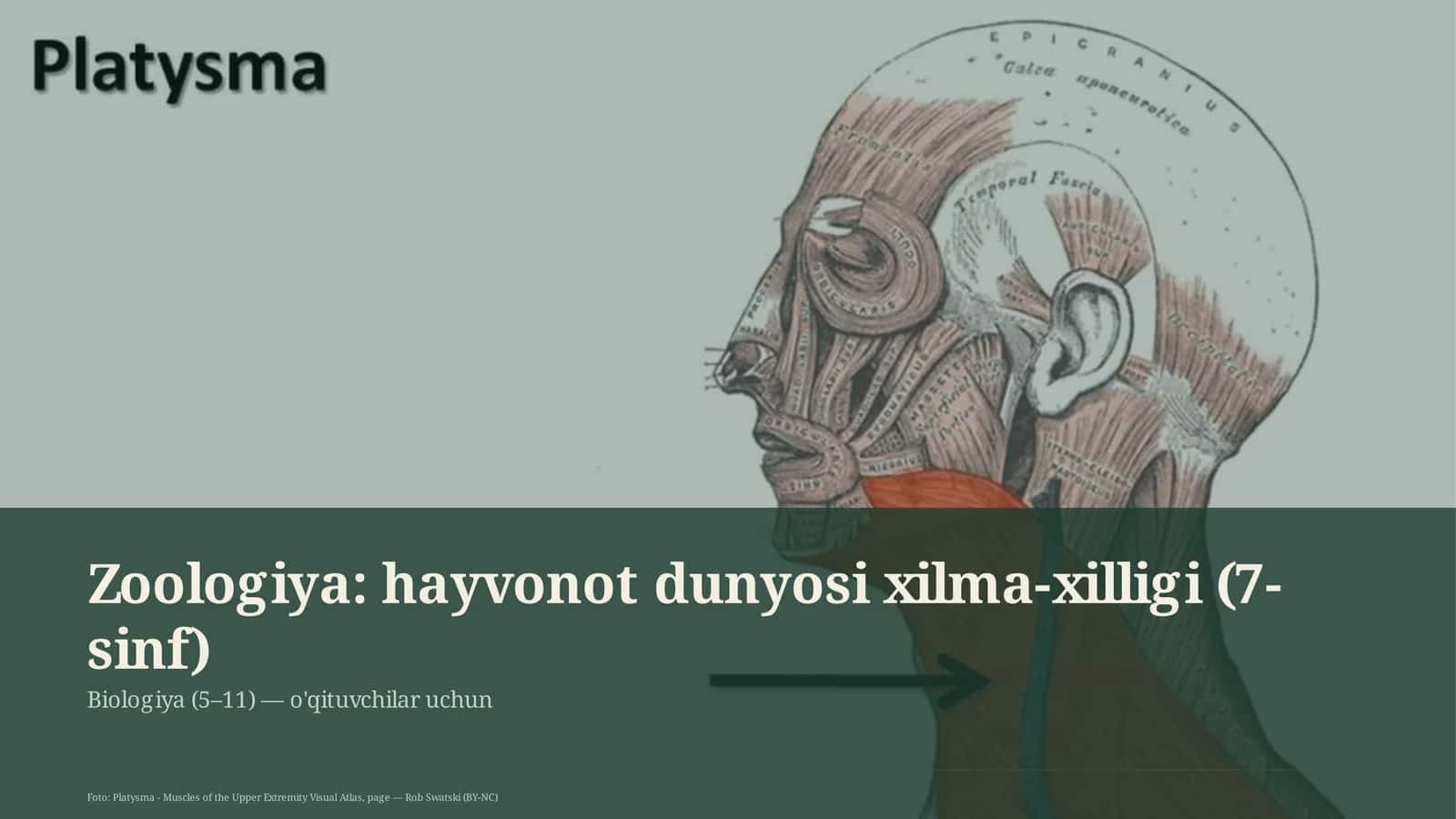 Zoologiya: hayvonot dunyosi xilma-xilligi (7-sinf) 1