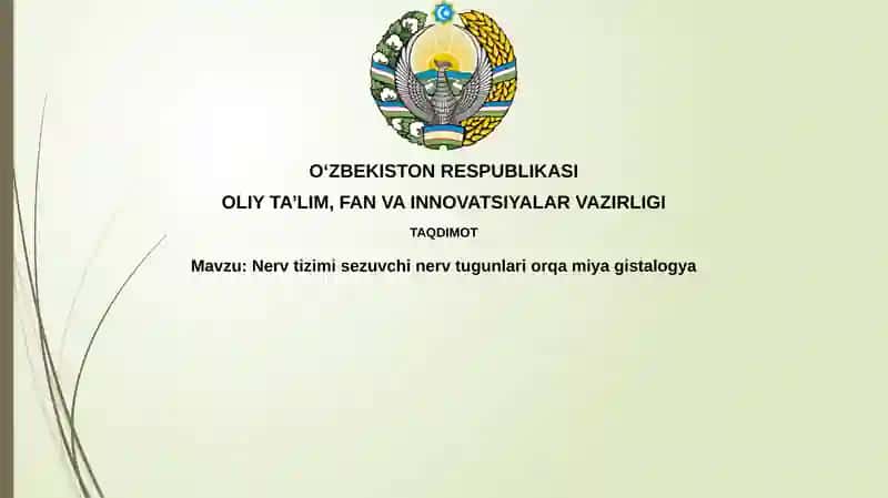 Nervtizimisezuvchi nervtugunlari orqamiyagistalogiya